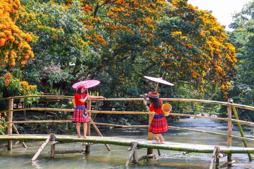Mùa hoa trang bừng sáng núi rừng bình định - 4