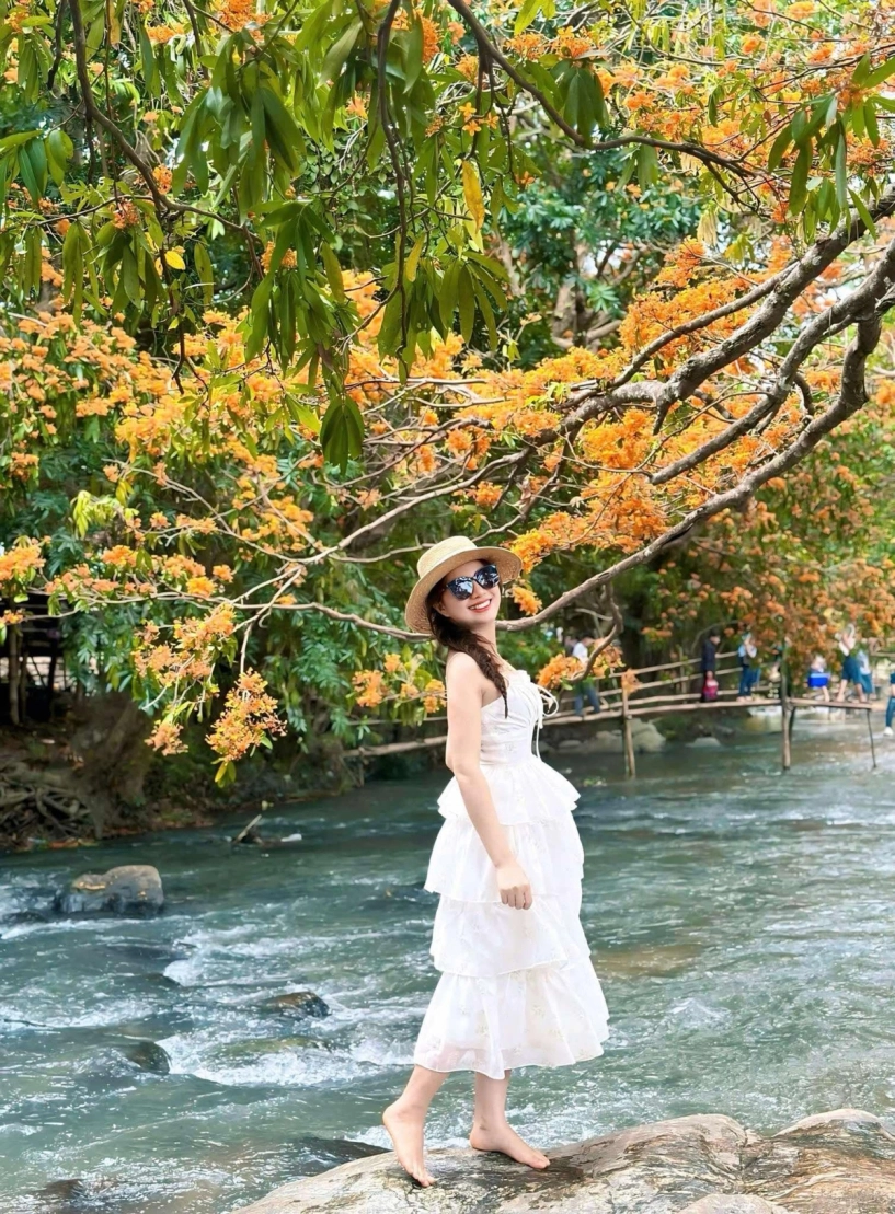 Mùa hoa trang bừng sáng núi rừng bình định - 5