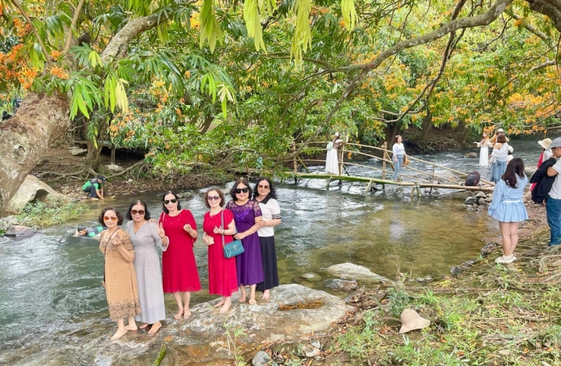 Mùa hoa trang bừng sáng núi rừng bình định - 8
