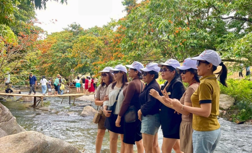 Mùa hoa trang bừng sáng núi rừng bình định - 9