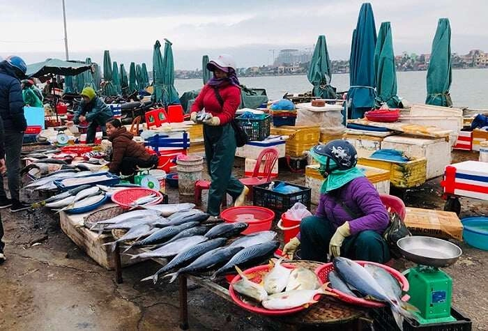 Muốn mua hải sản ngon-bổ-rẻ phải ghé ngay khu chợ nổi tiếng bậc nhất quảng bình đảm bảo si mê không muốn về - 3