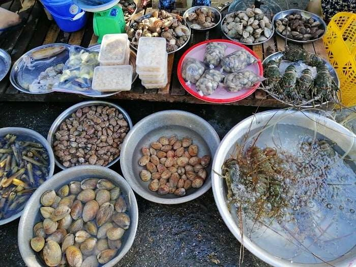 Muốn mua hải sản ngon-bổ-rẻ phải ghé ngay khu chợ nổi tiếng bậc nhất quảng bình đảm bảo si mê không muốn về - 4
