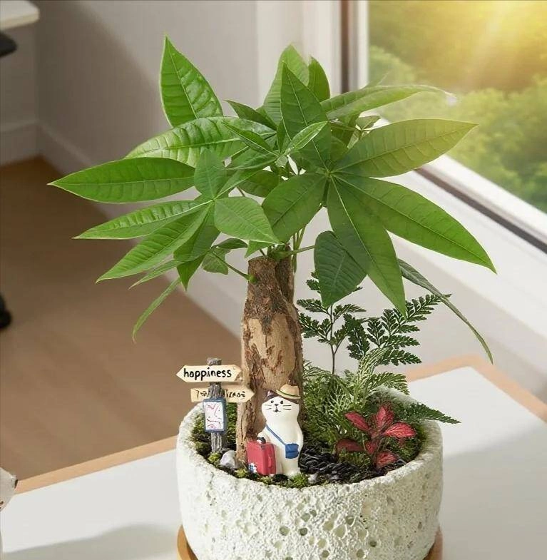 Ngày càng nhiều người đưa cây kim ngân vào danh sách đen đây là 5 lý do bạn nên biết - 4