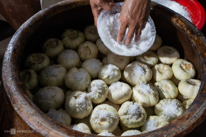 Nghề muối cà hơn 300 năm tuổi của ngôi làng hà nội - 3