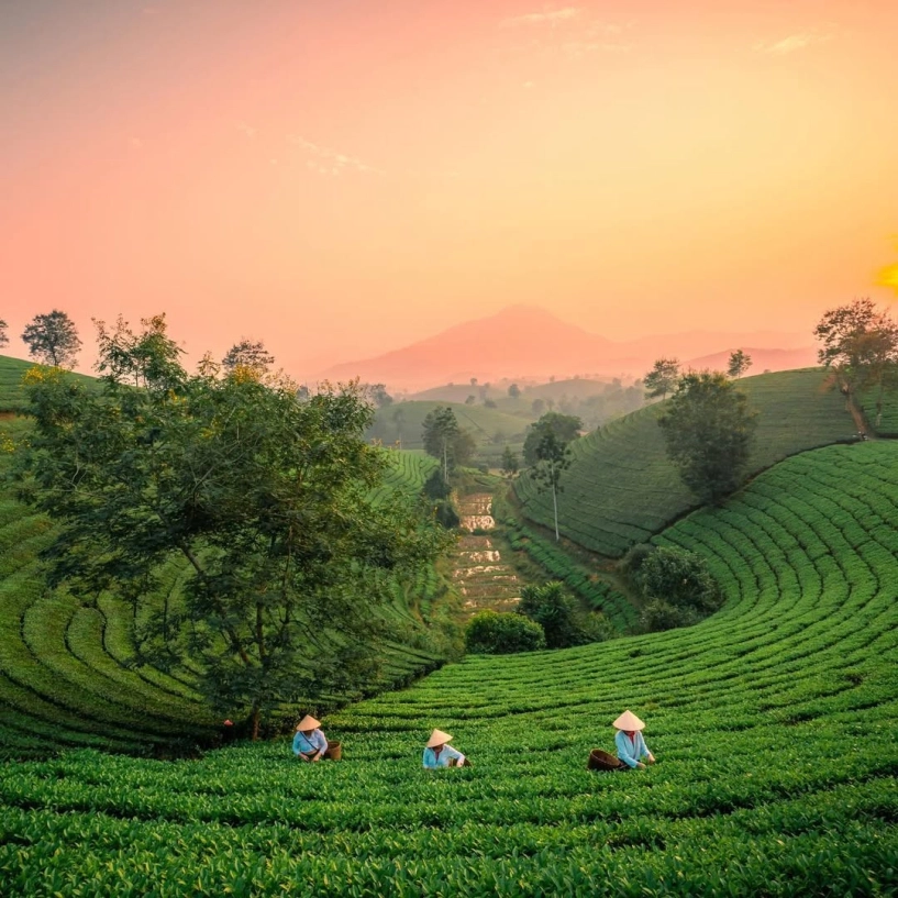 Nghỉ lễ giỗ tổ hùng vương sáng mặc việt phục đến đền hùng tối cắm trại dưới trời sao - 12