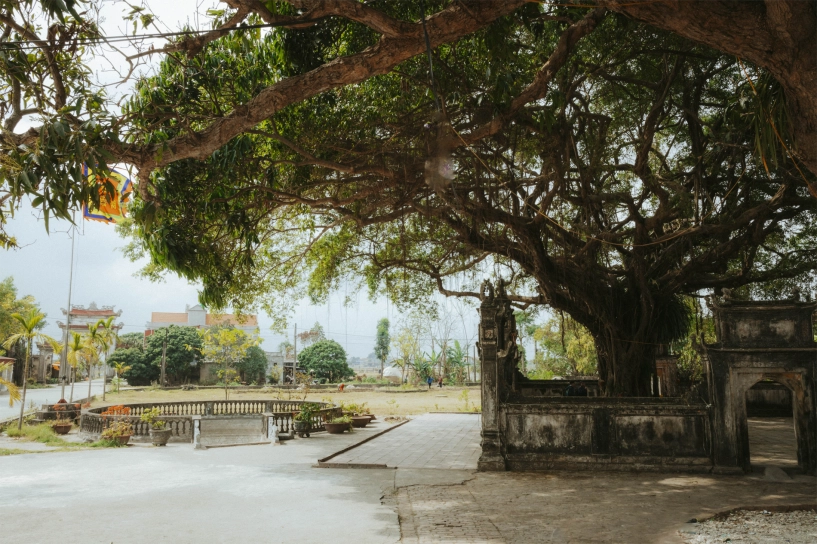 Ngôi đền cổ cách hà nội 70km có báu vật xanh trăm tuổi thu hút du khách - 2