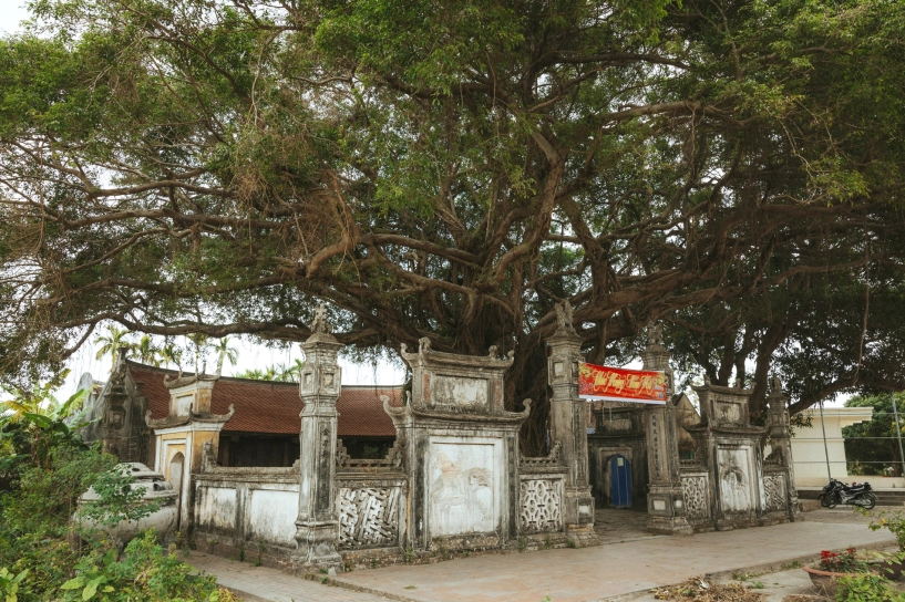 Ngôi đền cổ cách hà nội 70km có báu vật xanh trăm tuổi thu hút du khách - 8