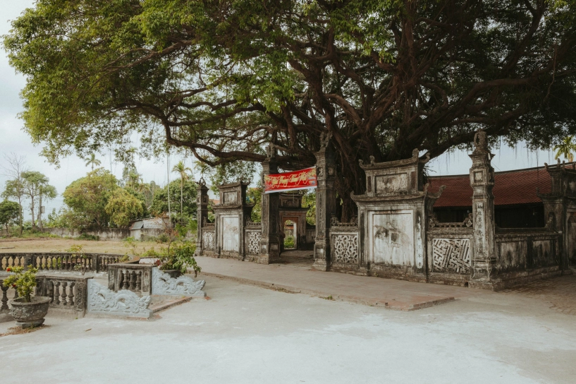 Ngôi đền cổ cách hà nội 70km có báu vật xanh trăm tuổi thu hút du khách - 9