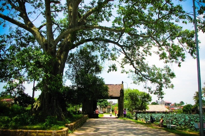 Ngôi làng mát lạnh như điều hòa ở cao bằng là thiên đường trốn nắng ở ngay sát tuyệt tác thiên nhiên thuộc top đầu thế giới - 1