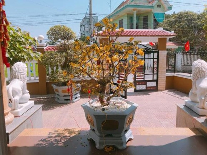 Nhà ở quê của 3 người đẹp gốc đà nẵng thanh thủy treo giấy khen khắp tường mỹ tâm thích nấu bánh tét ngay cửa - 25