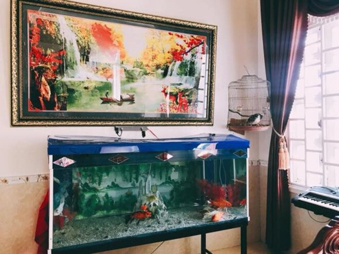 Nhà ở quê của 3 người đẹp gốc đà nẵng thanh thủy treo giấy khen khắp tường mỹ tâm thích nấu bánh tét ngay cửa - 28