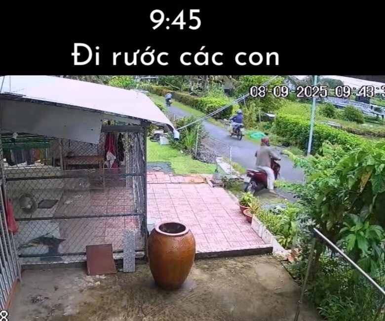 Nhật ký 1 ngày của khối phụ huynh khi các búp măng non đi học trở lại khiến dân tình cười mếu thua tài xế công nghệ mỗi cái áo xanh - 3