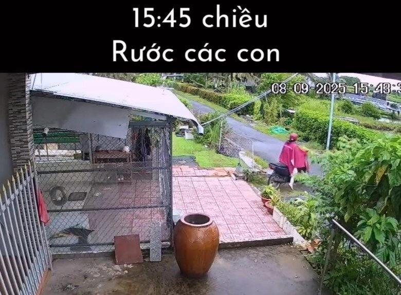 Nhật ký 1 ngày của khối phụ huynh khi các búp măng non đi học trở lại khiến dân tình cười mếu thua tài xế công nghệ mỗi cái áo xanh - 8