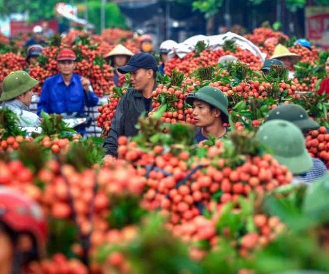 Ở bắc giang có một khu chợ chỉ đông đúc 1 mùa trong năm đẹp như tranh vẽ bán loại đặc sản vạn người mê - 1