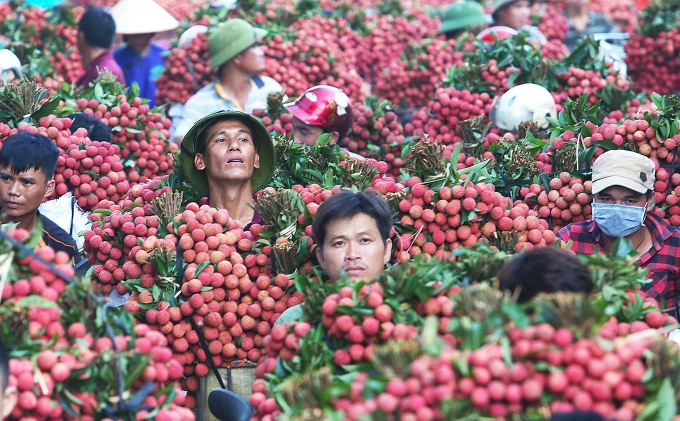 Ở bắc giang có một khu chợ chỉ đông đúc 1 mùa trong năm đẹp như tranh vẽ bán loại đặc sản vạn người mê - 3