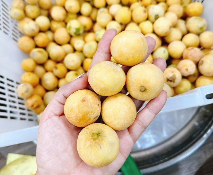 Ở hà nội có loại đặc sản đã vào mùa tên gọi hay bị nhầm lẫn là biểu tượng cho mối tình đầu xanh non chua chát - 2