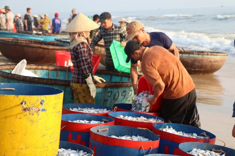 Phiên chợ có 1-0-2 tại thanh hóa khách tắm biển xong lên bờ mua ngay hải sản vừa đánh bắt còn tươi roi rói - 1
