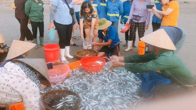 Phiên chợ có 1-0-2 tại thanh hóa khách tắm biển xong lên bờ mua ngay hải sản vừa đánh bắt còn tươi roi rói - 3