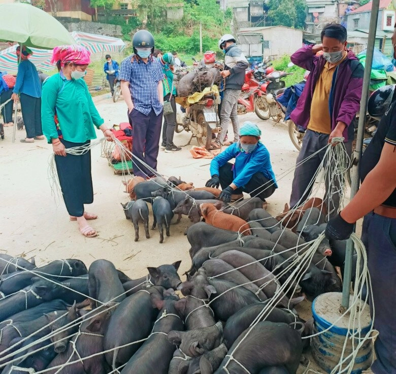 Phiên chợ độc nhất ở lào cao nằm giữa lưng trời bán toàn đồ lạ khó nơi nào có - 4