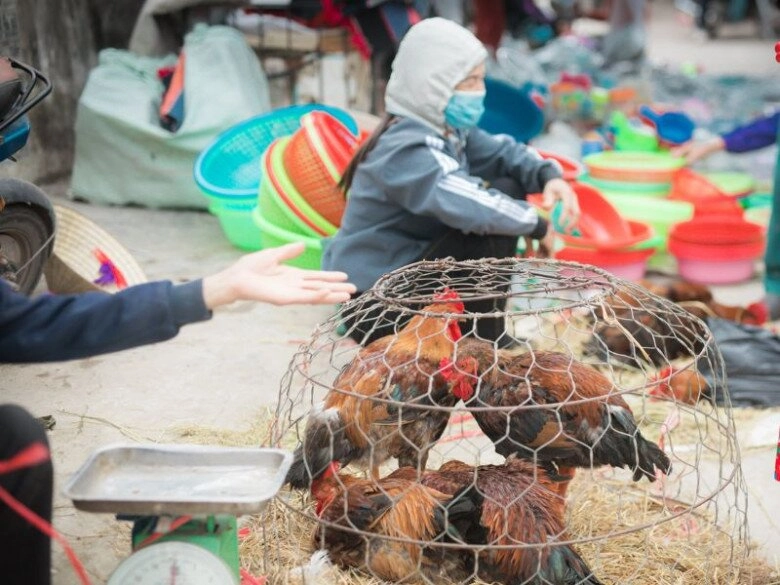 Phiên chợ quê hiếm hoi còn sót lại giữa lòng thái bình bán toàn thức quà mà thành phố không thể có - 2