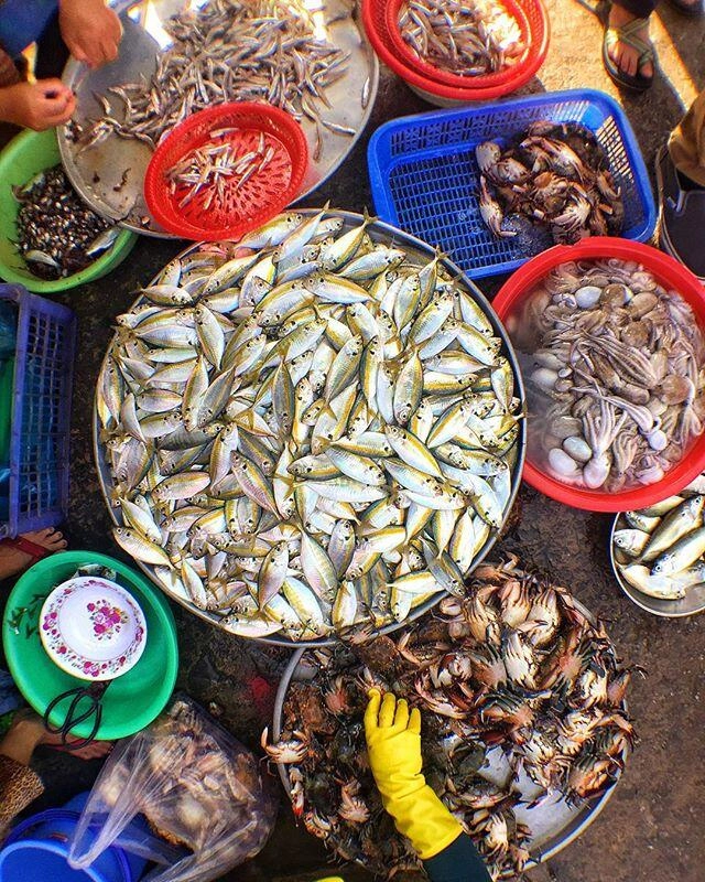 Phú quốc có khu chợ sầm uất bậc nhất bán đủ đồ tươi ngon và đặc sản làm quà đảm bảo khách nào cũng mê - 2
