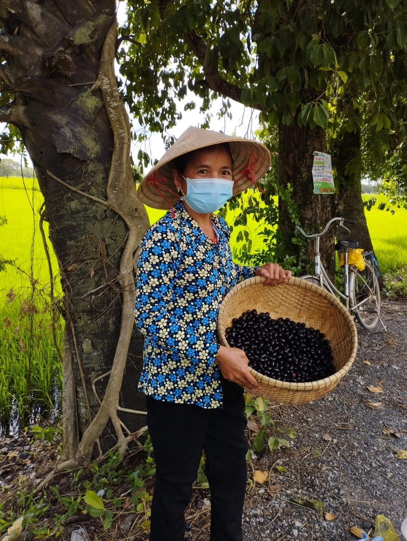 Quả đặc sản ở an giang mọc chi chít khách ăn đen răng vẫn lùng mua - 2