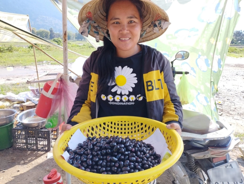 Quả đặc sản ở an giang mọc chi chít khách ăn đen răng vẫn lùng mua - 7