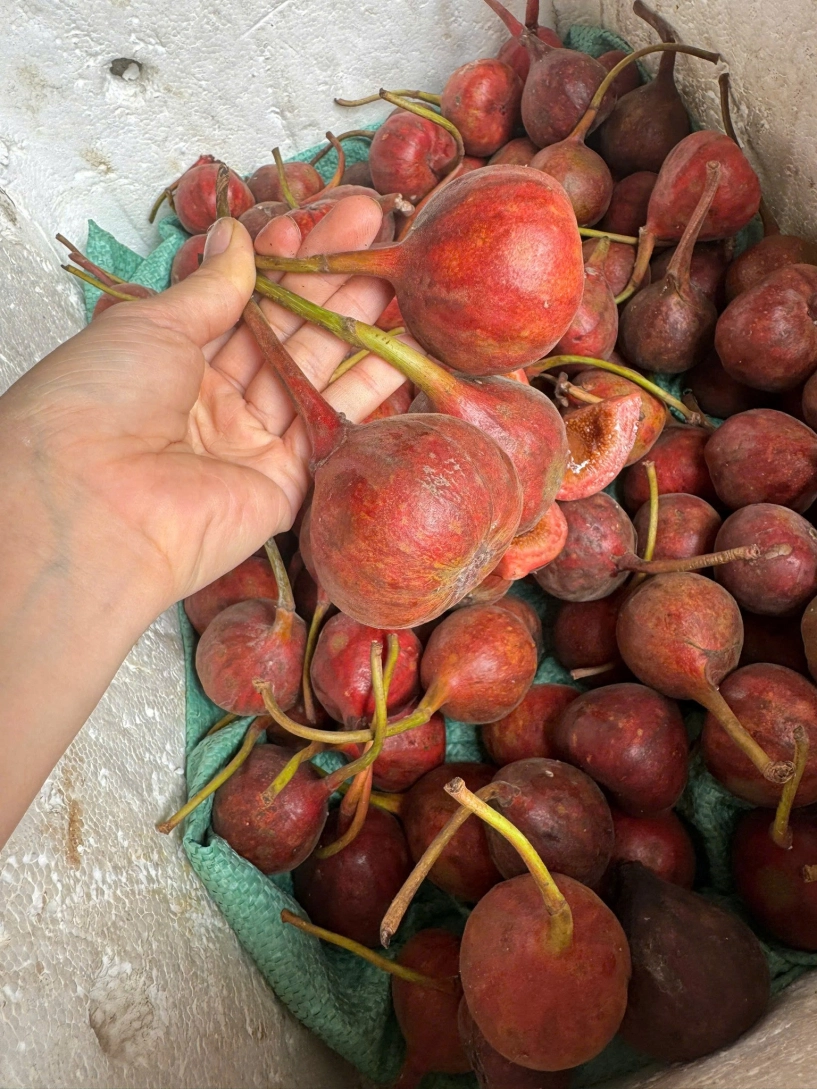 Quả đặc sản sóng sánh mật sai trĩu từ gốc đến ngọn ăn kèm thịt luộc càng ngon - 3