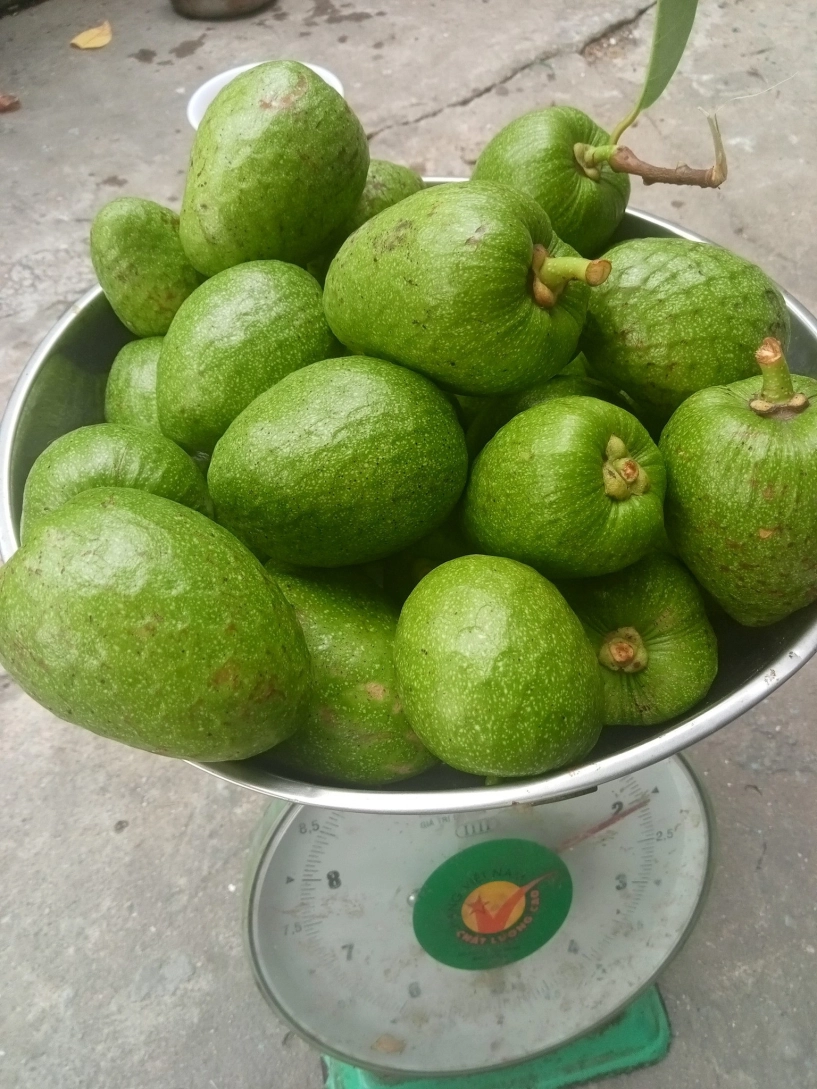 Quả dại vàng ươm thơm nức xưa rụng đầy gốc nay phải săn lùng mới có - 6