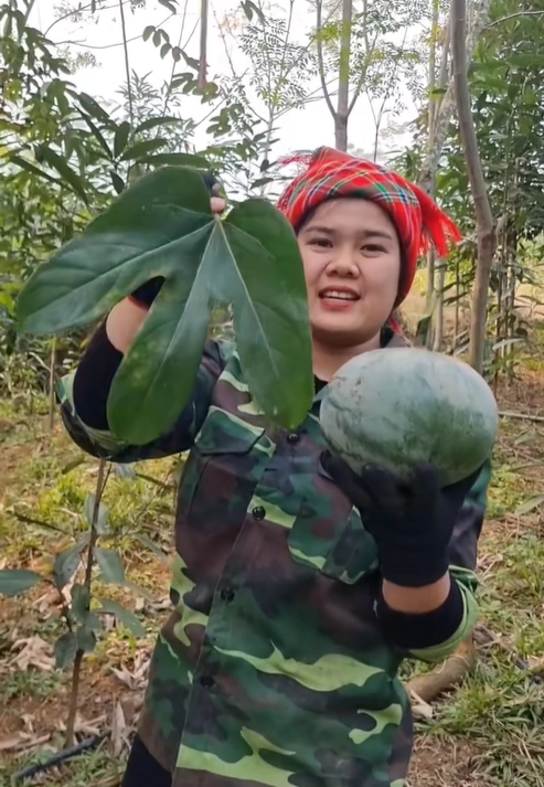 Quả lạ ở miền bắc nhìn giống bưởi dân hái về dùng thay mỡ lợn dầu ăn - 2
