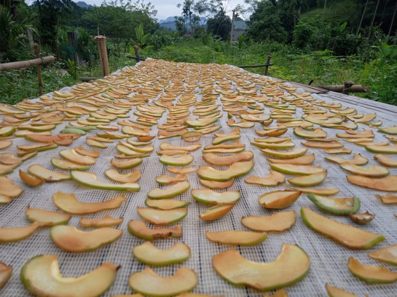 Quả ở miền bắc trông giống ổi nấu canh ngon hơn dùng sấu me - 5