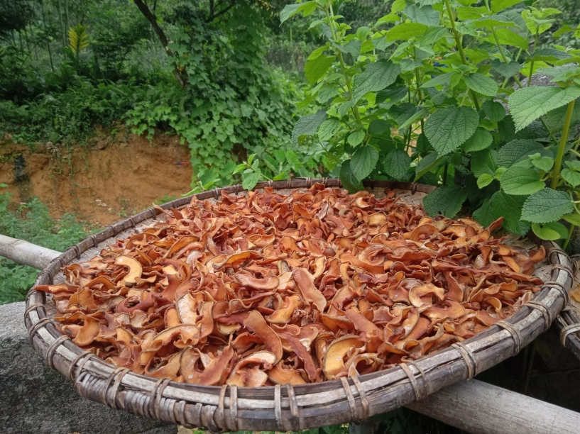 Quả ở miền bắc trông giống ổi nấu canh ngon hơn dùng sấu me - 7