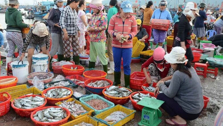 Quy nhơn có một khu chợ cá lớn và nổi tiếng bậc nhất miền trung bán đủ loại hải sản với giá tận gốc - 4