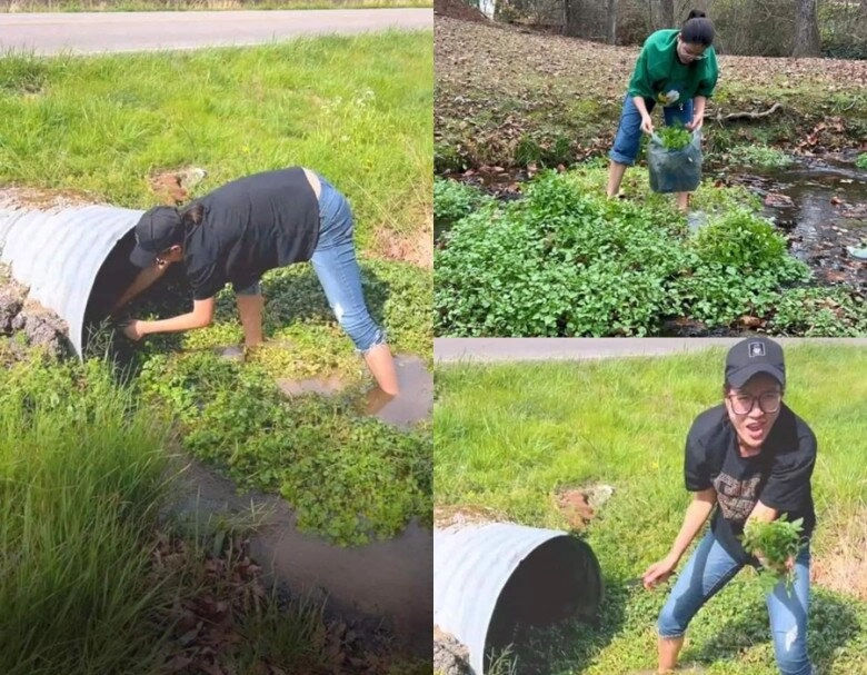 Sao việt 24h bố ruột an tây bị nói nhà dột từ nóc em trai tây ba lô ảnh hưởng công việc vì chị gái - 12