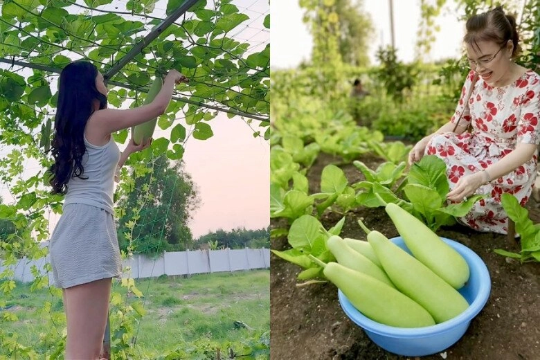 Sao việt 24h huy khánh gọi điện cho 2 con ở 2 quốc gia các con chung nửa dòng máu nhưng đều giống hệt bố - 12
