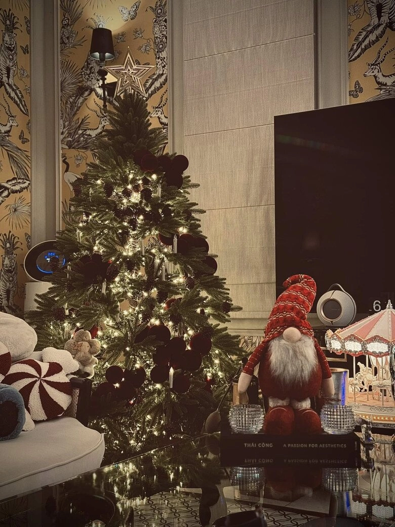 Sao việt 24h nữ đại gia quận 7 thắp sáng cả khu phố mừng noel sắp rời khỏi căn biệt thự trị giá 22 tỷ đồng - 2