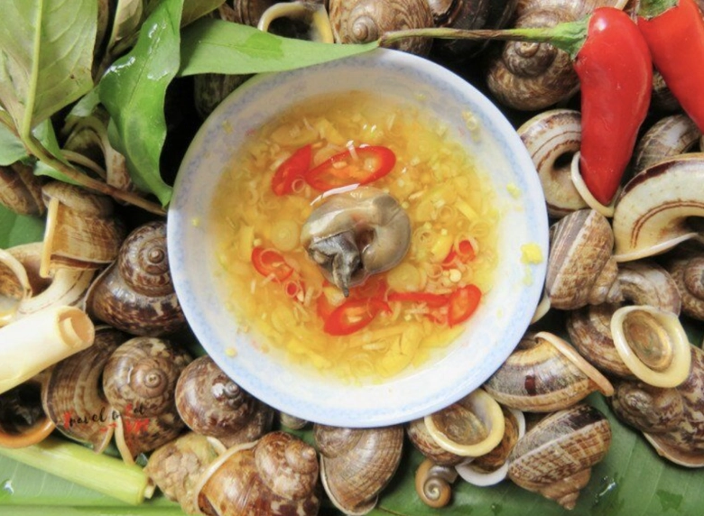 Sinh vật xưa không ai biết giờ thành đặc sản nổi tiếng giá đắt xắt ra miếng dân thành phố thi nhau săn lùng - 5