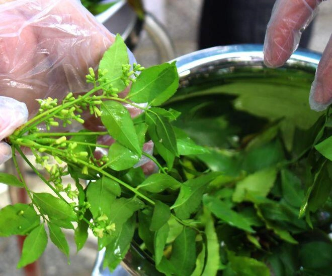 Thứ lá nghe tên đã buồn nẫu lại là linh hồn của một đặc sản an giang lọt top món ăn tiêu biểu kỷ lục châu á - 1