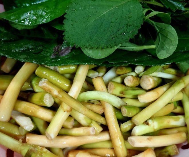 Thứ lộc trời ban xưa dân nghèo dùng để chống đói nay lại thành đặc sản dân sành ăn mới biết cách chế biến - 1