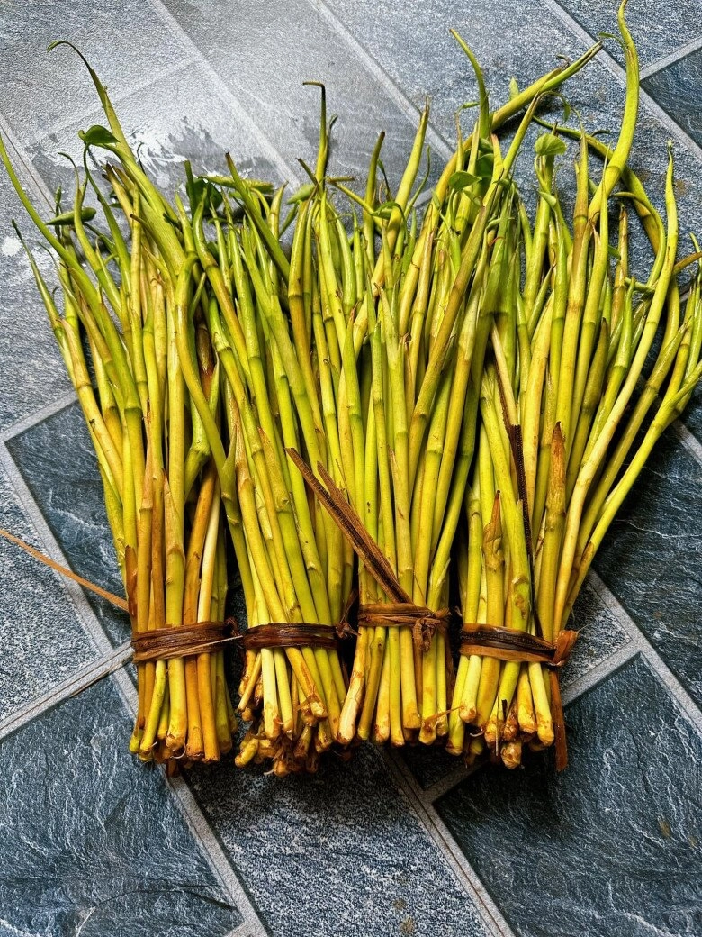 Thứ lộc trời ban xưa dân nghèo dùng để chống đói nay lại thành đặc sản dân sành ăn mới biết cách chế biến - 2