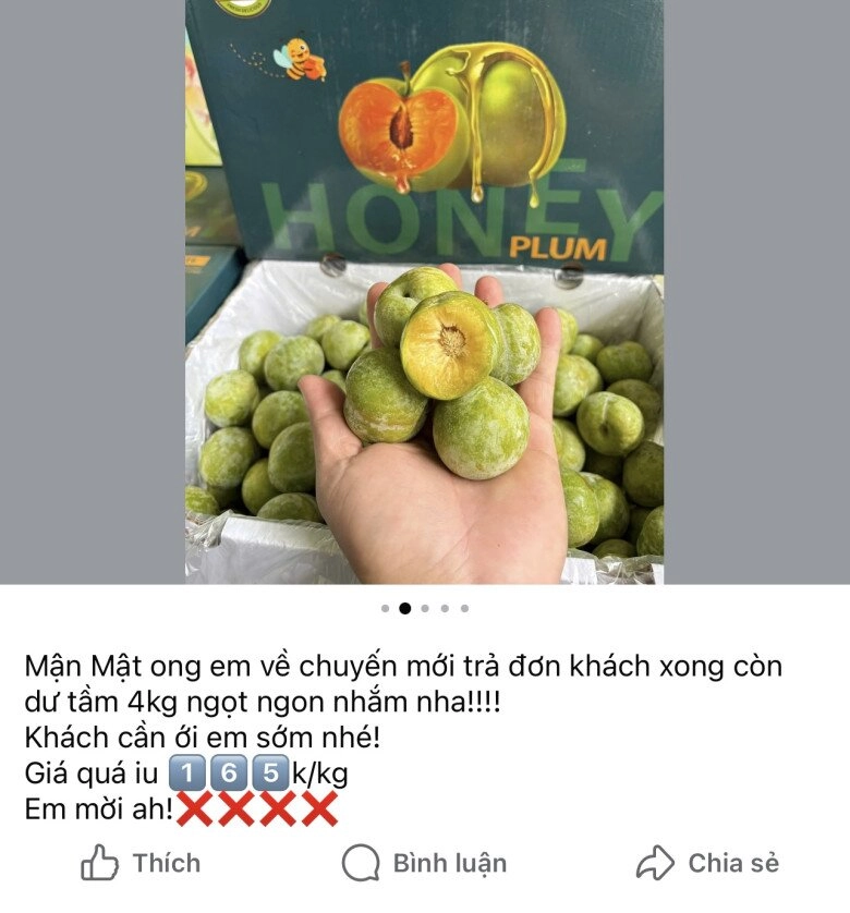 Thứ quả nhìn xanh lét lại có vị ngọt như mật ong cực hot mxh chị em đổ xô mua thử dù giá đến 500000đkg - 2