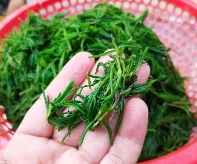Thứ rau ăn sương hít khí trời xưa rẻ bèo không ai mua nay thành đặc sản người thành phố lùng tìm - 1