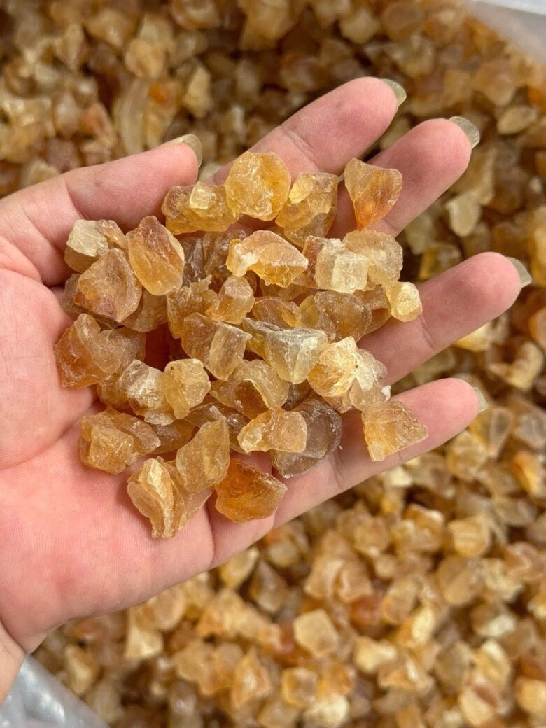 Thứ tiết ra từ vết thương của cây xưa không ai ngó nay được săn lùng vì nổi danh là vàng trắng nhờ giàu dinh dưỡng - 4