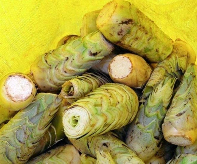 Thứ tưởng vứt đi lại thành một đặc sản mang đậm hơi thở miền tây là thức quà quý giá từ lòng đất - 1