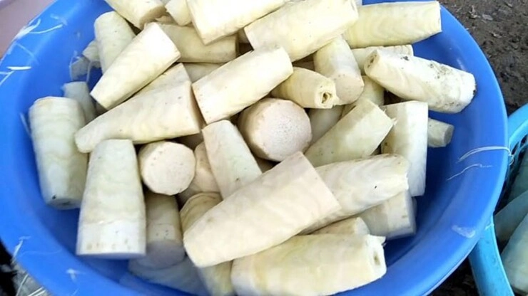 Thứ tưởng vứt đi lại thành một đặc sản mang đậm hơi thở miền tây là thức quà quý giá từ lòng đất - 3