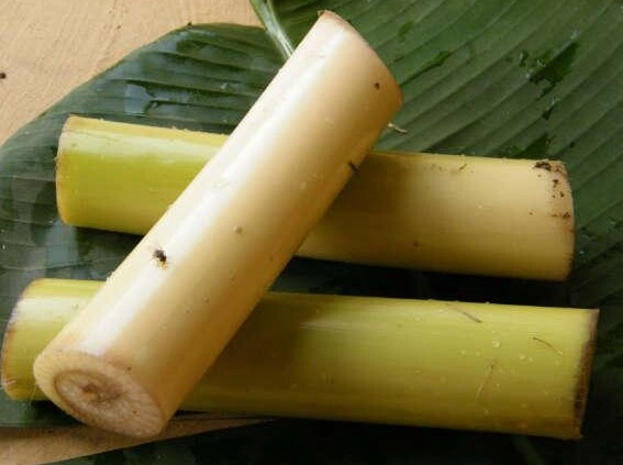 Thứ xưa người nghèo ăn cứu đói nay thành đặc sản khoái khẩu được dân thành phố ưa chuộng hương vị đặc biệt - 2
