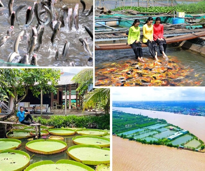 Top 7 địa điểm du lịch việt nam được tìm kiếm nhiều nhất năm 2024 bạn đã check-in hết chưa - 4