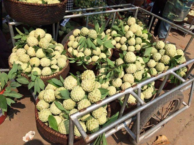 Về lạng sơn đi khu chợ chỉ bán đúng một loại quả mà vẫn hút hàng nghìn người đến mua - 4