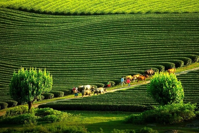 Việt nam có một huyện lọt top đẹp siêu thực của thế giới có khung cảnh tuyệt đối điện ảnh không khí mát mẻ dưới 20 độ - 2