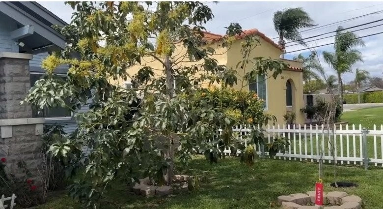Vợ đức tiến tiết lộ nhà bị trộm sốc vì không ngờ lại mất vật kỷ niệm của chồng - 4